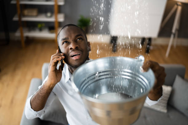 Best Water damage cleanup near me  in Hancock, MD