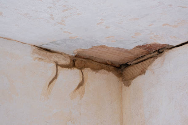 Best Mold removal after water damage  in Hancock, MD
