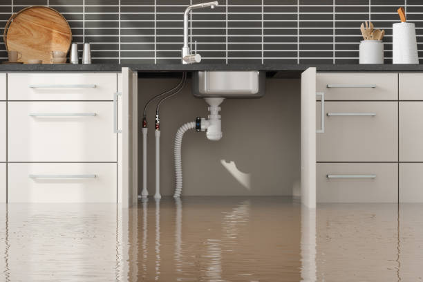 Best Ceiling water damage repair  in Hancock, MD